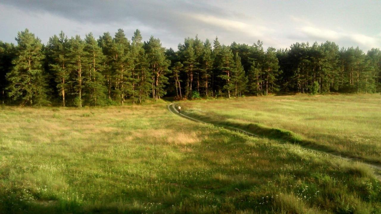 Pokoje Goscinne Weronika Ostrowo  Eksteriør bilde